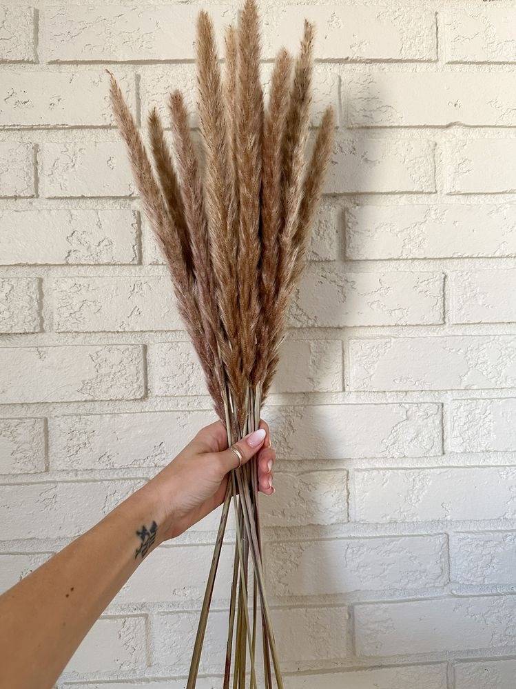 Mini brown pampas-set of 10 sticks - https://artecasa.in/
