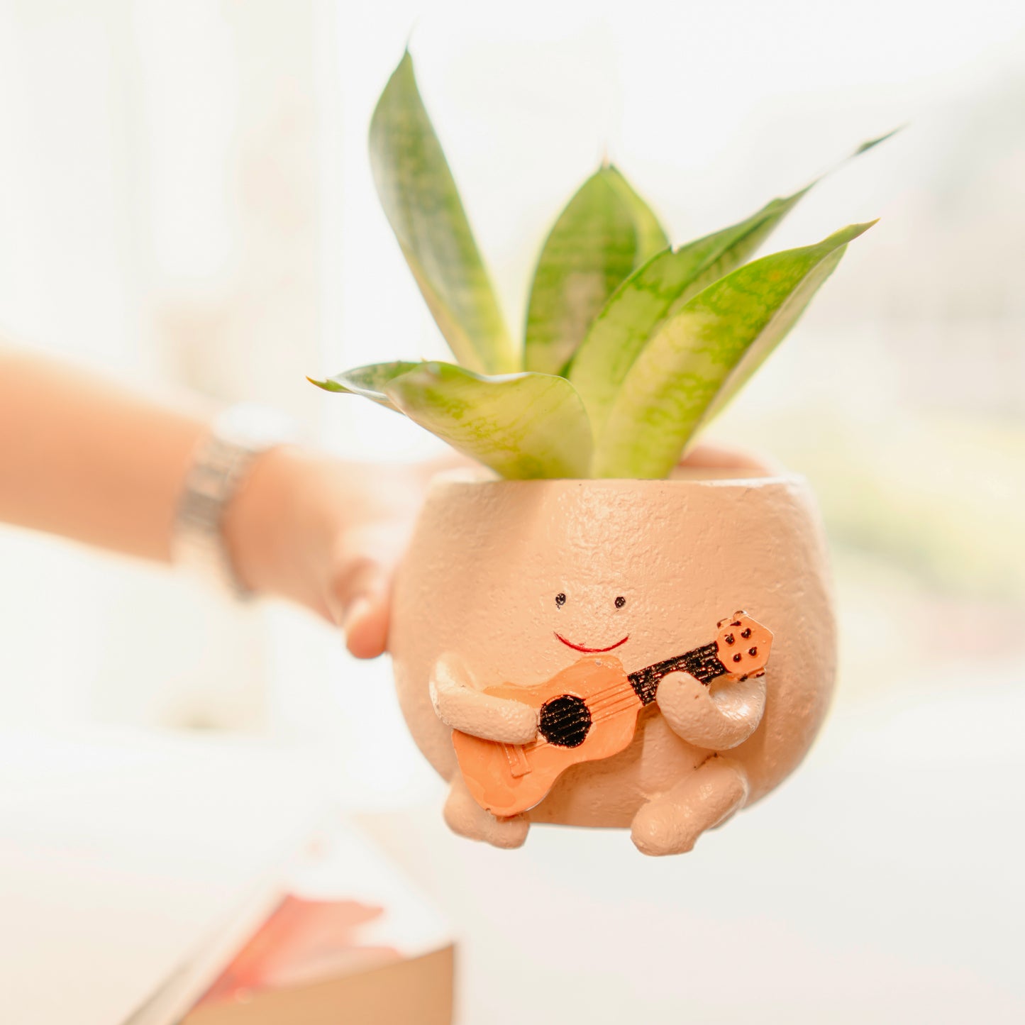 The Jazzy Planter