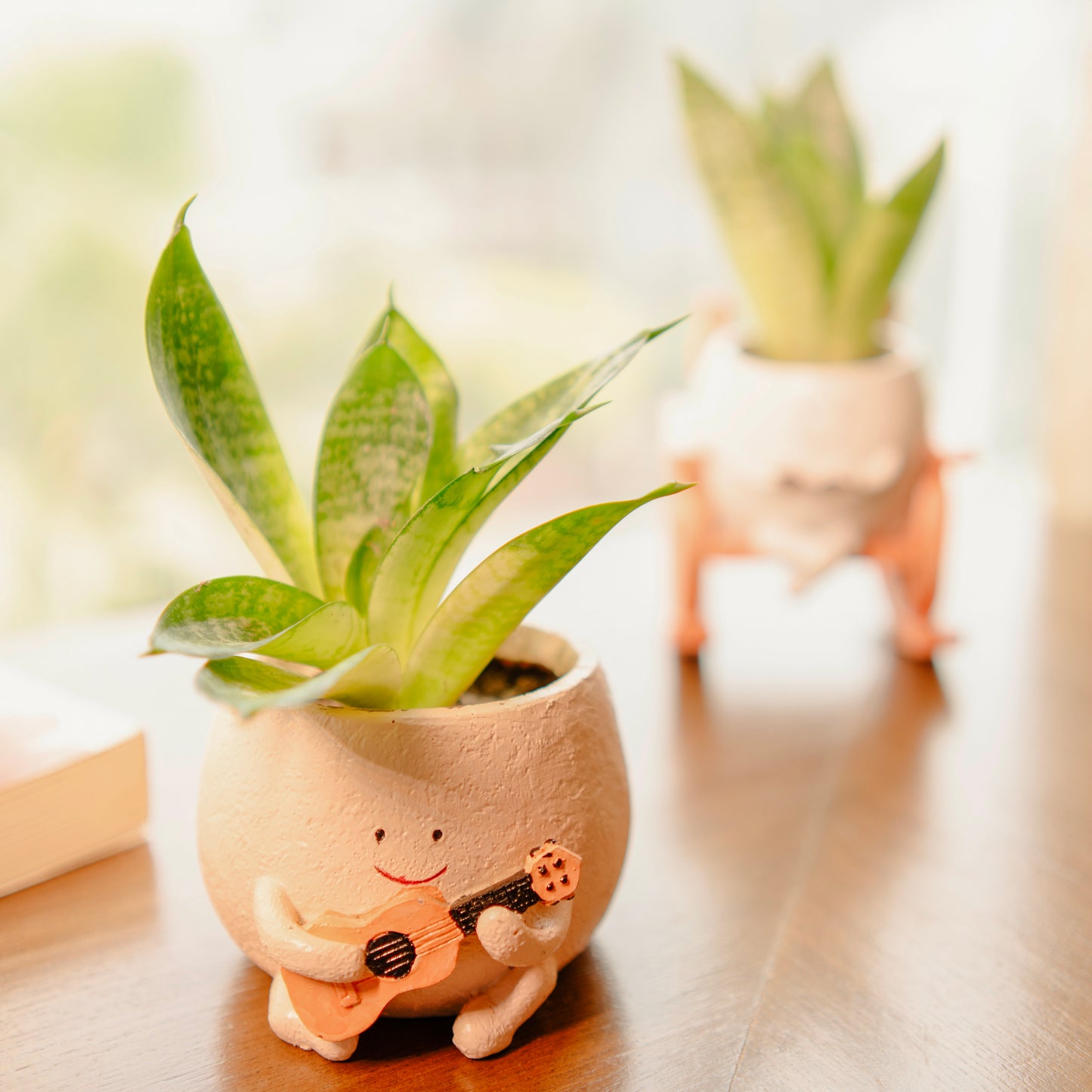 The Jazzy Planter