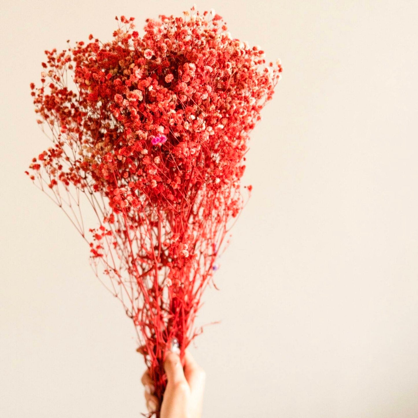 Red baby breaths - https://artecasa.in/
