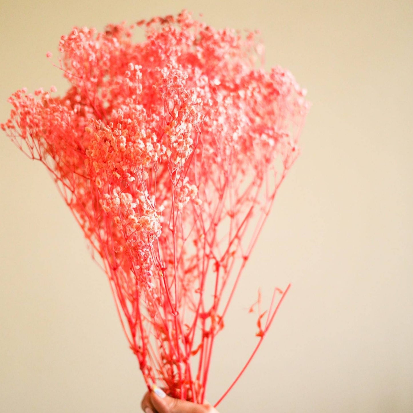 pastel Pink baby breaths - https://artecasa.in/