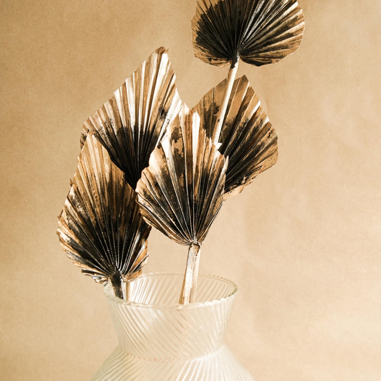 Dual Colour Palm leaves