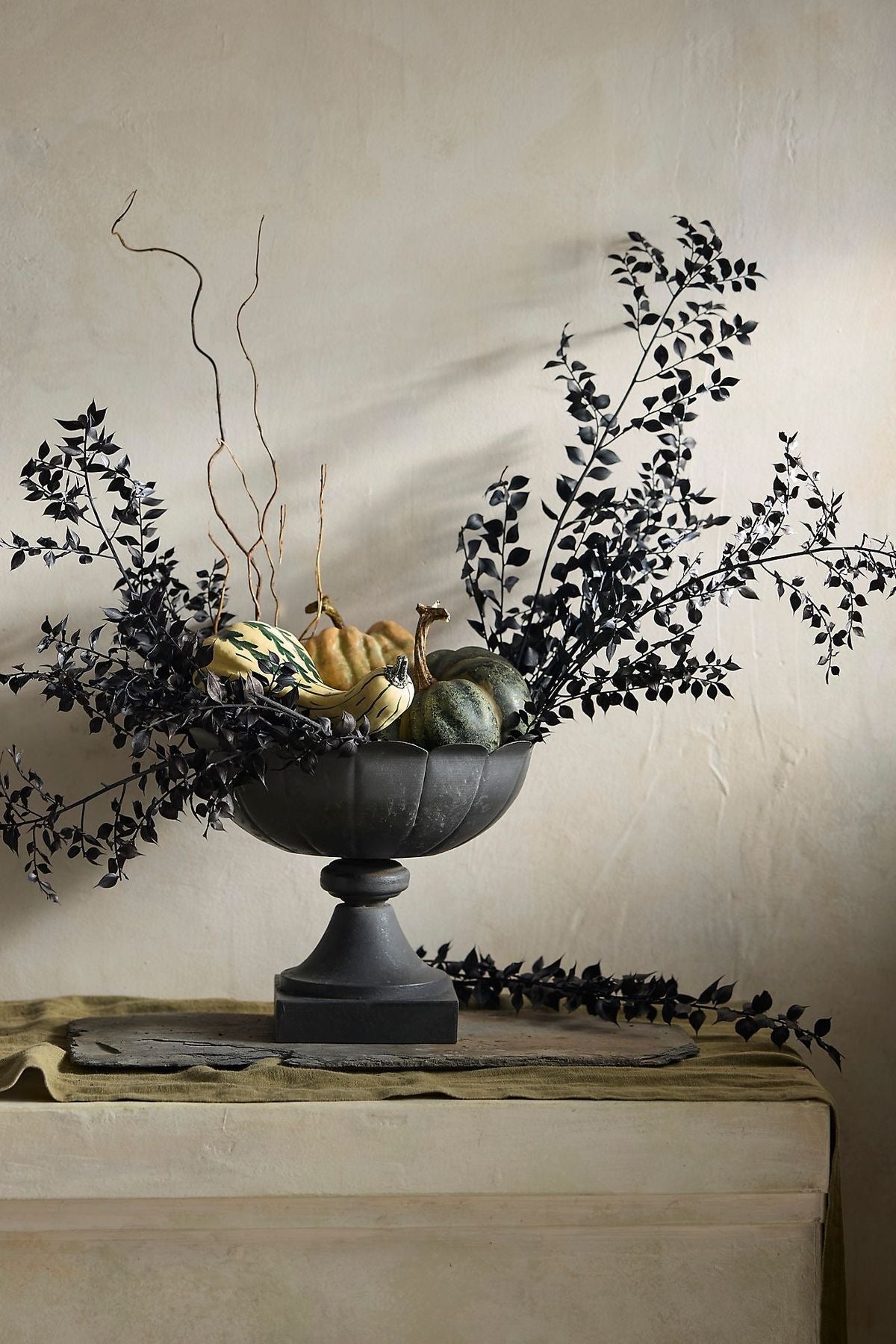 Ruscus- Black