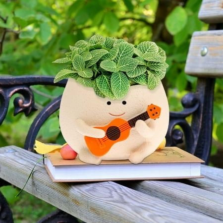 The Jazzy Planter