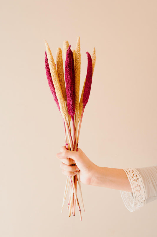Yellow Pink Bazra Mini Dual Shade Dried Sticks in Decorative Vase