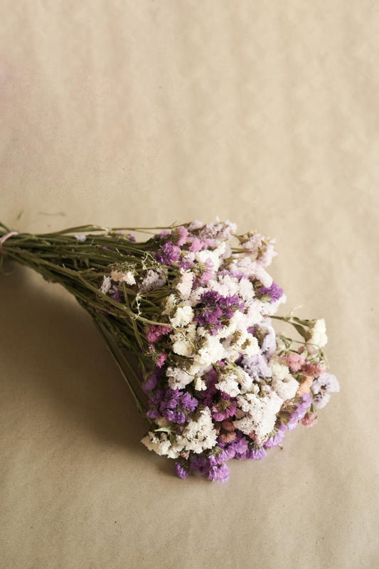 Close up of colourful Statice dried flowers for bouquet and floral arrangements