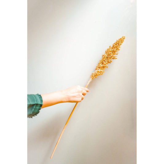 Close-up of Natural Corn Stick Dried Flowers