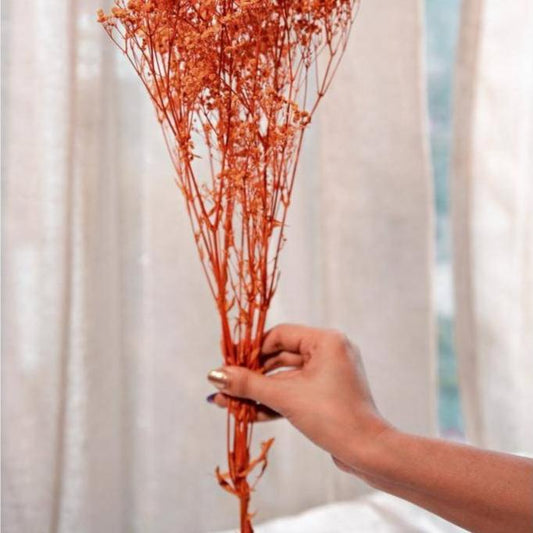 Orange baby breaths - https://artecasa.in/