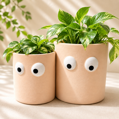 Peach Muse Face Planter Set of 2