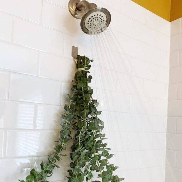 Eucalyptus dried leaves -set of 5 stems - https://artecasa.in/