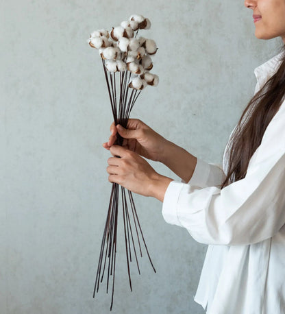 Natural Dried Cotton Stems – Set of 5 | 40 cm