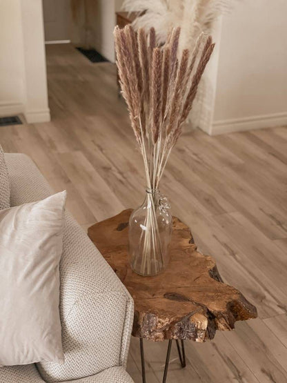 Mini brown pampas-set of 10 sticks - https://artecasa.in/