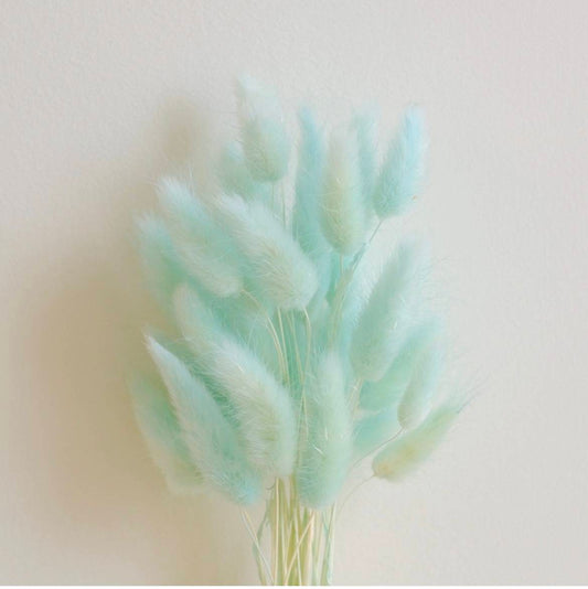 Mint Green Bunny tails-set of 50 stems - https://artecasa.in/