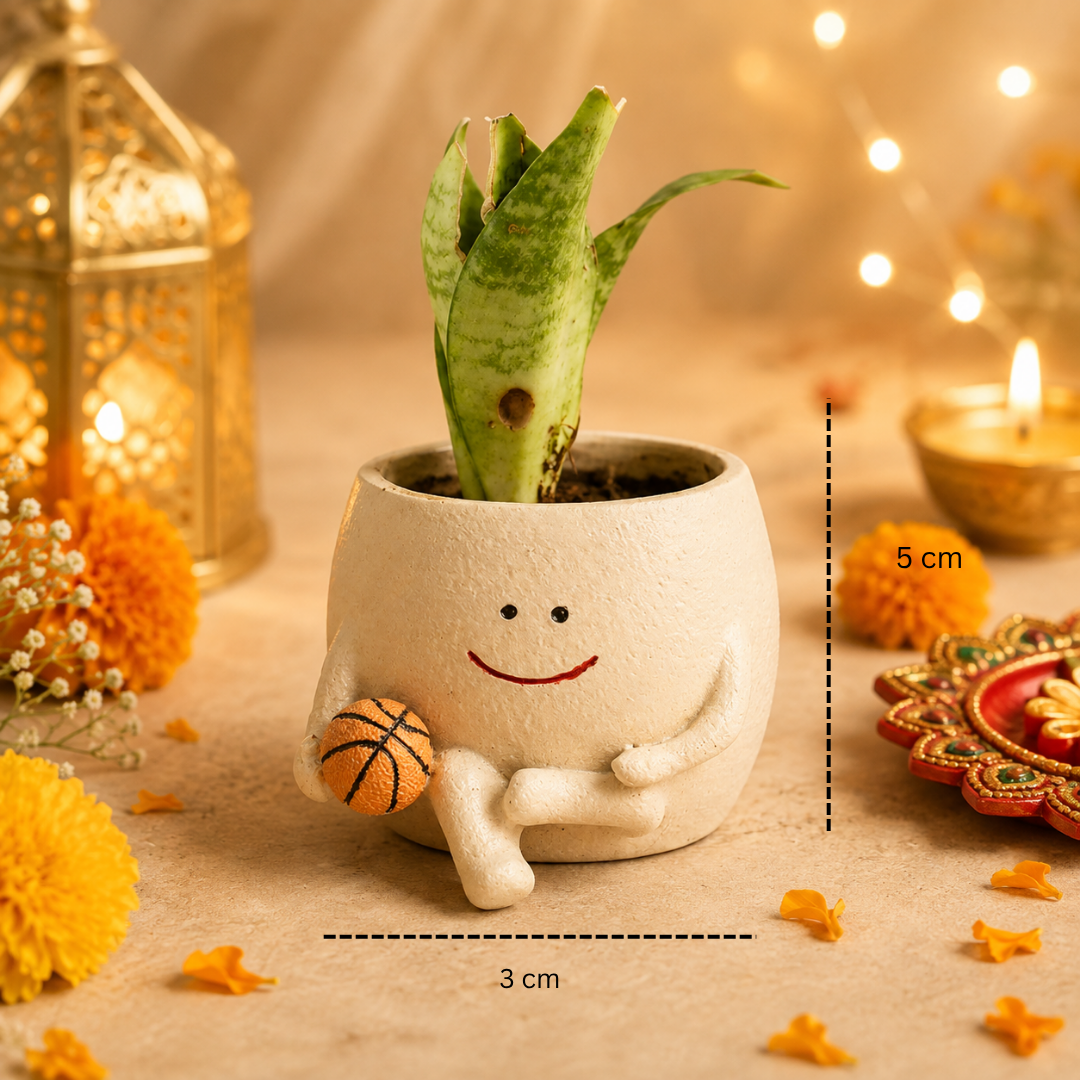 Festive Bloom Basket Planter Diwali Gift Set
