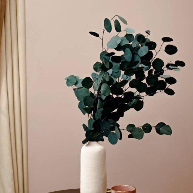 Lucid white vase with Eucalyptus