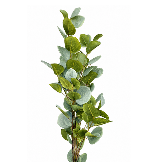 Evergreen Eucalyptus Artificial Foliage Stem | Diwali Decor