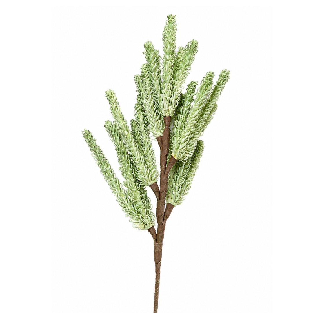 Meadow Mist Green Pampas Reed Stem | Diwali Decor