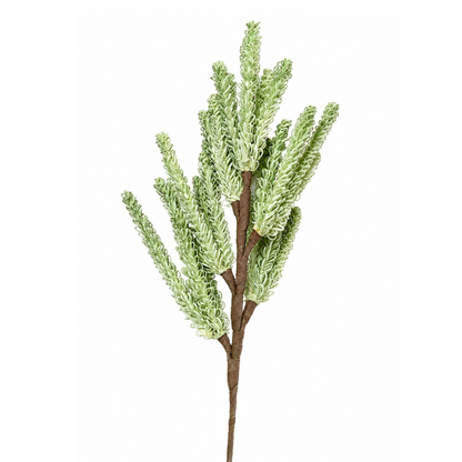 Meadow Mist Green Pampas Reed Stem | Diwali Decor