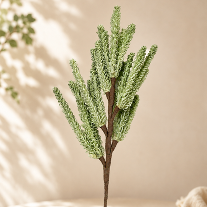 Meadow Mist Green Pampas Reed Stem | Diwali Decor