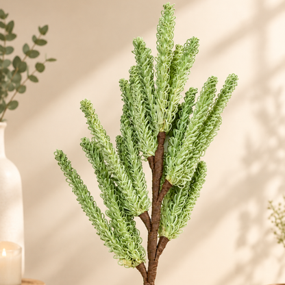 Meadow Mist Green Pampas Reed Stem | Diwali Decor