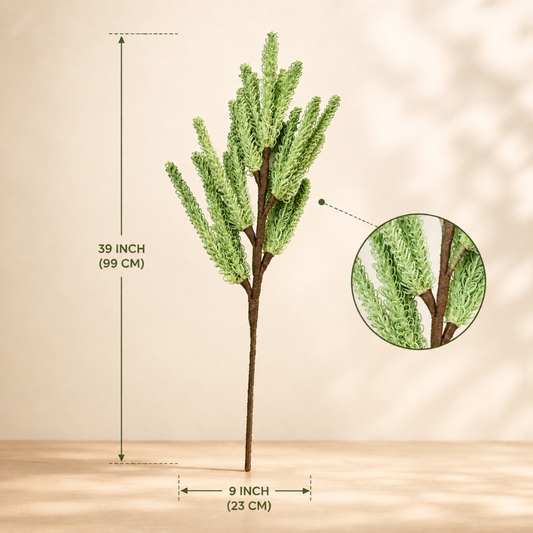 Meadow Mist Green Pampas Reed Stem | Diwali Decor