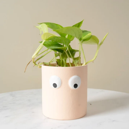 Peach Muse Face Planter Set of 2