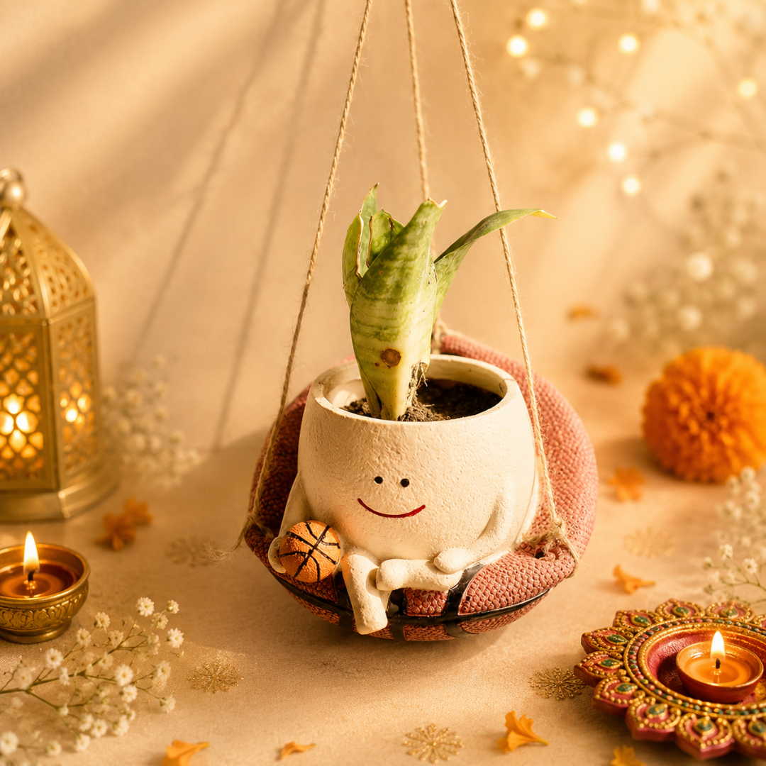 Festive Bloom Basket Planter Diwali Gift Set