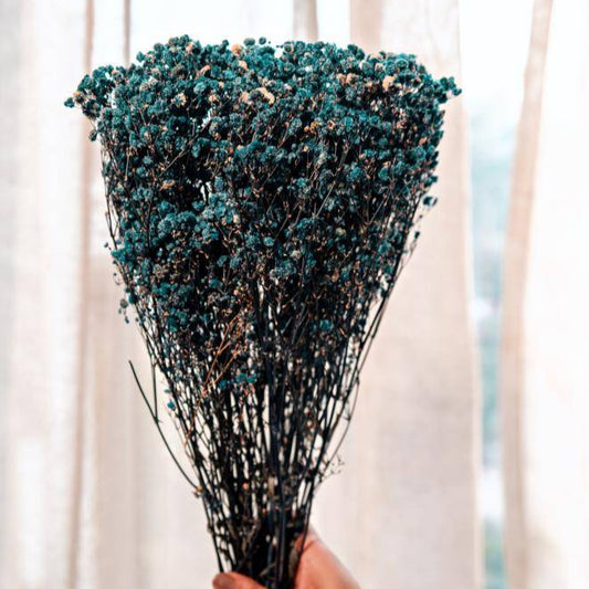 Royal blue baby breaths - https://artecasa.in/