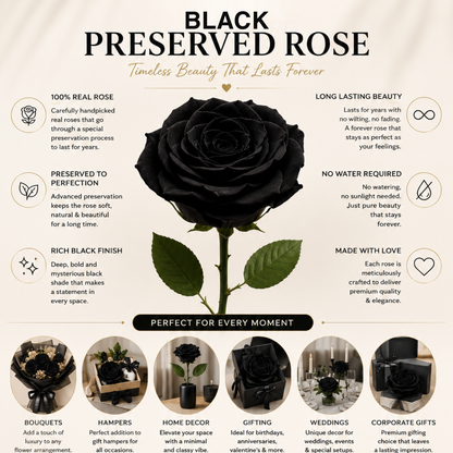 Long lasting black rose flower for gifting