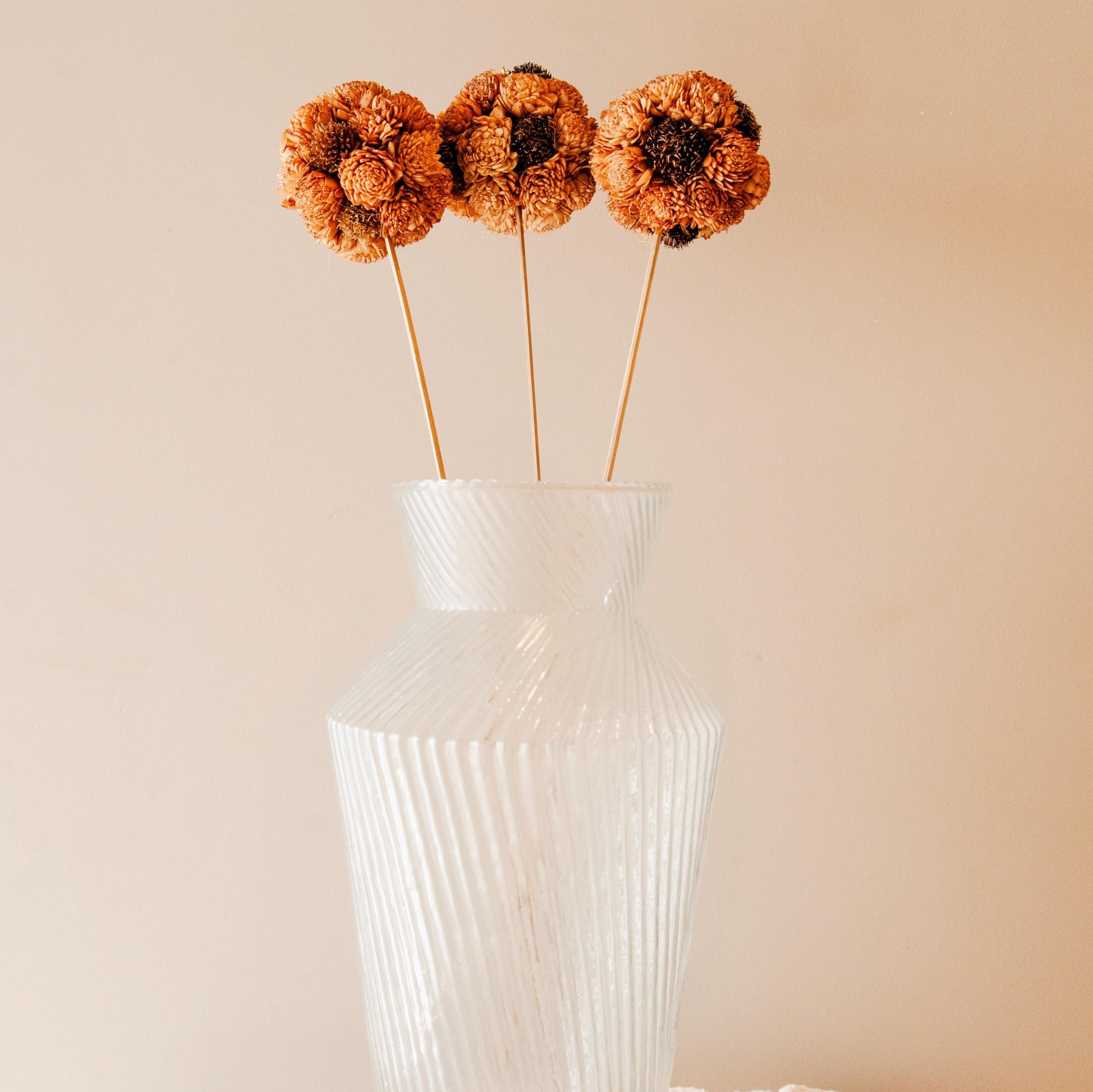 Brown Sola Flower Ball Sticks – Handmade Dried Flower Decor (Set of 3)