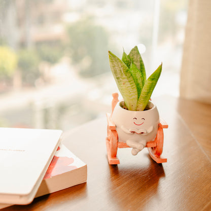Seat of Stories planter