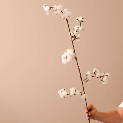 Cotton cloud Buds set - https://artecasa.in/