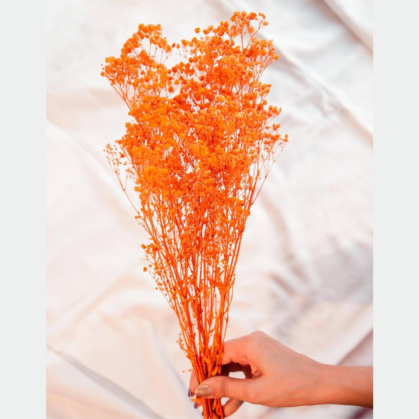 Orange baby breaths - https://artecasa.in/