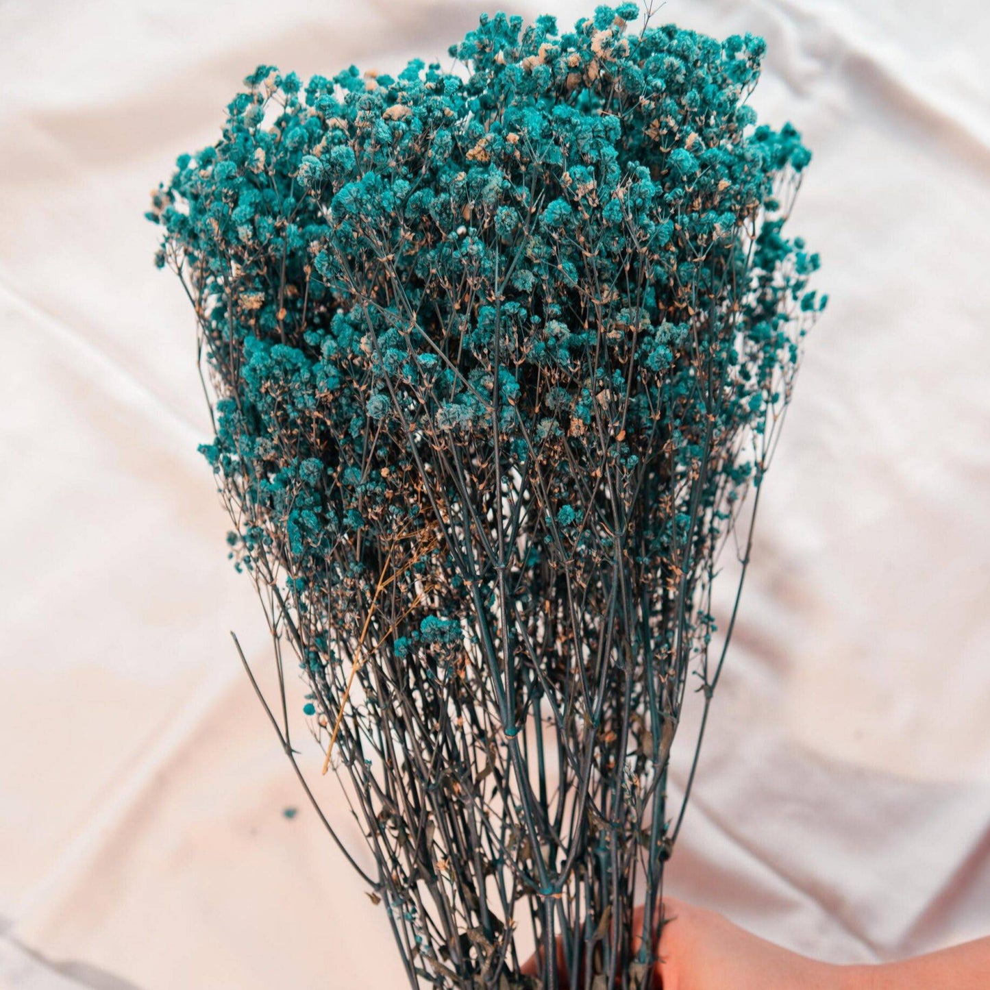 Royal blue baby breaths - https://artecasa.in/