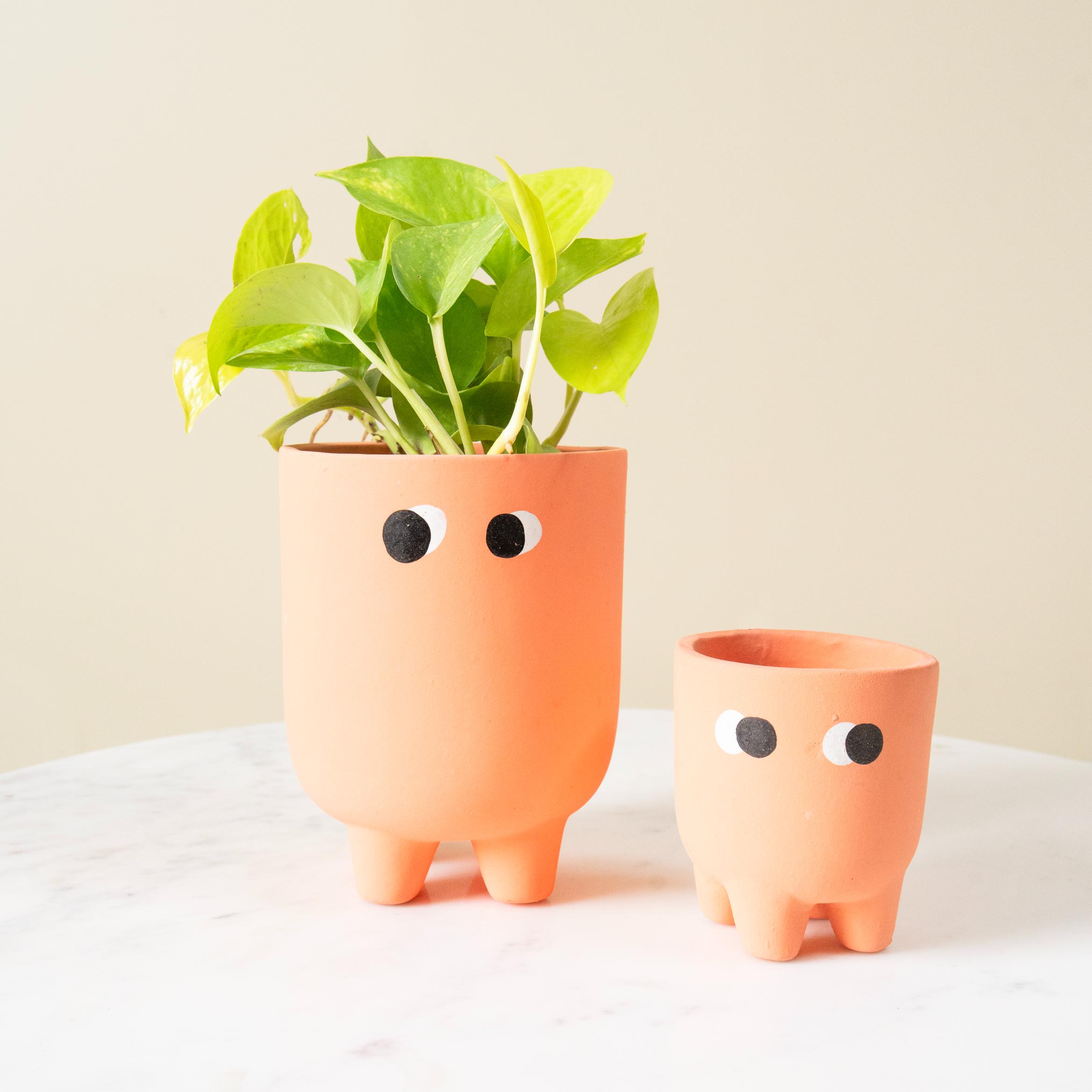 Friendly face pot set