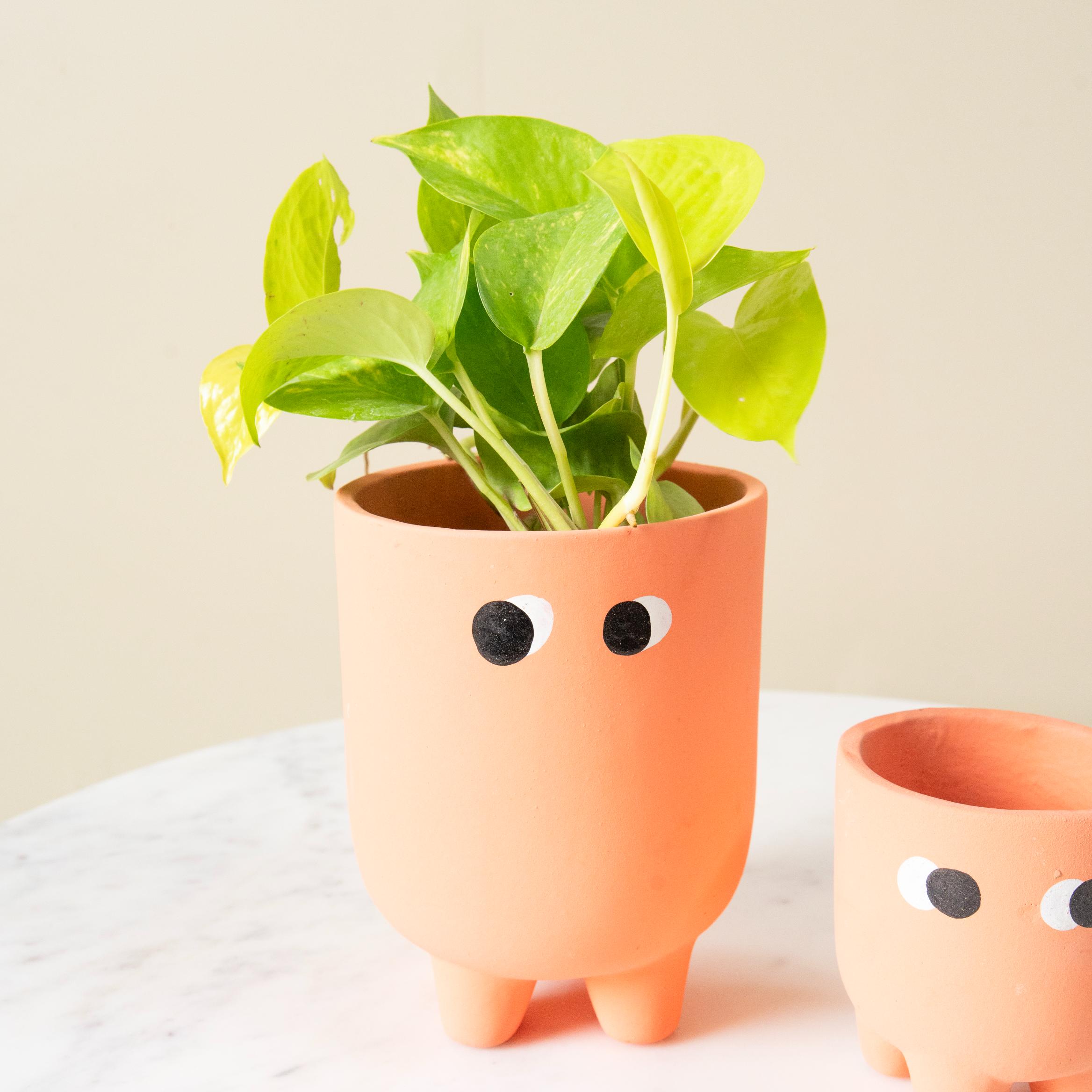 Friendly face pot set