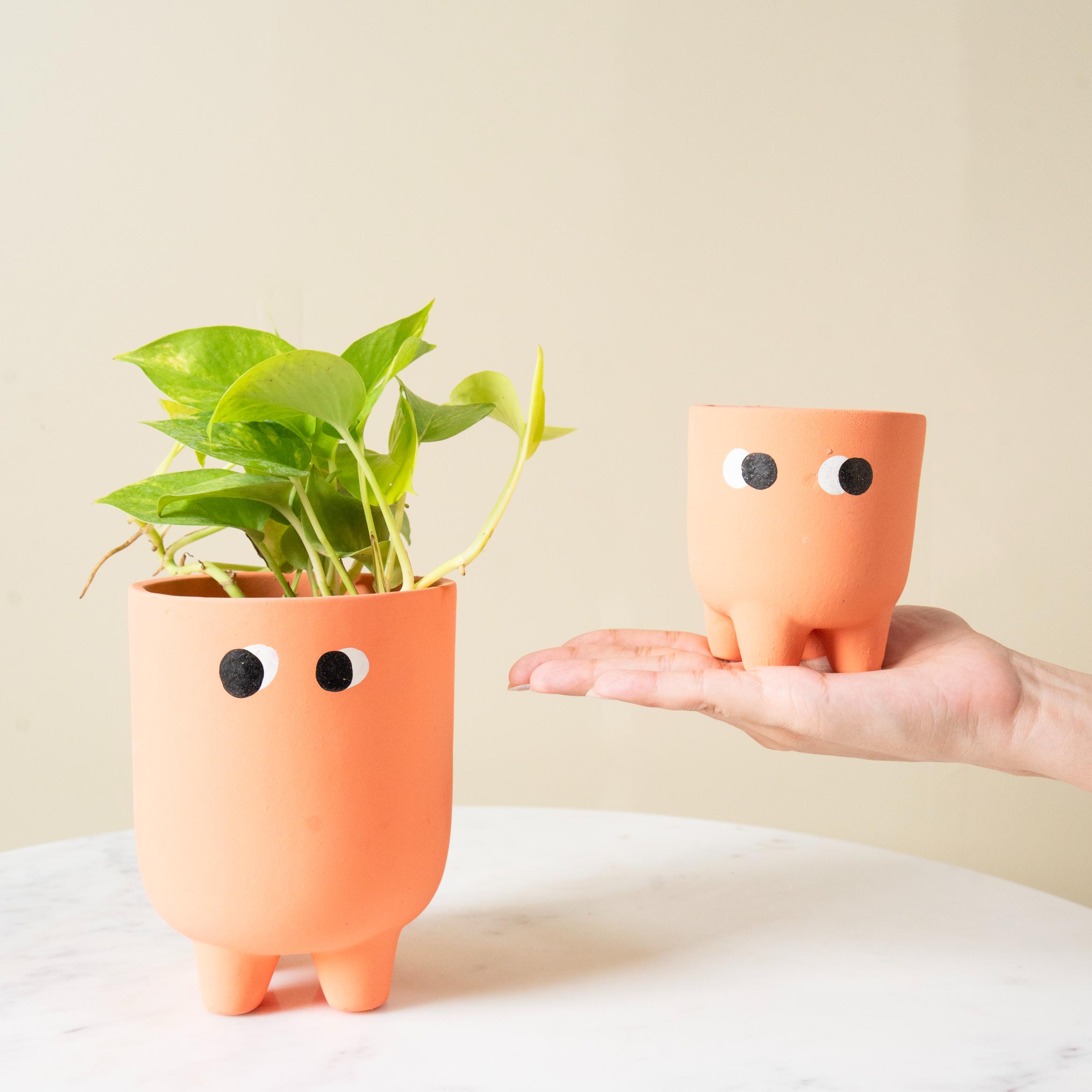 Friendly face pot set