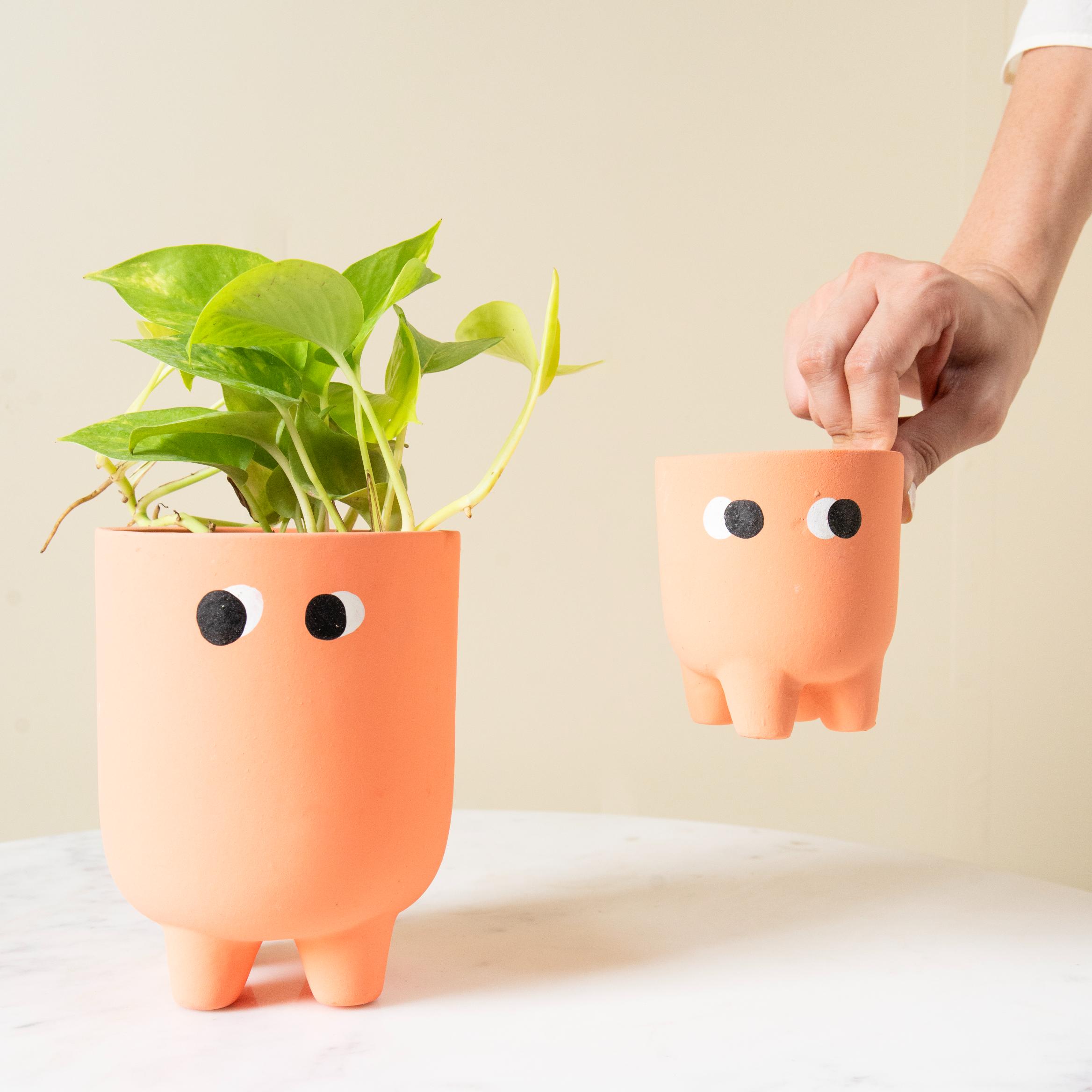 Friendly face pot set
