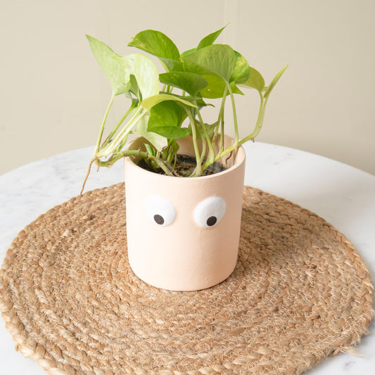 Face of Green Planter