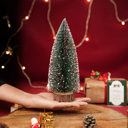 Mini Pine tree