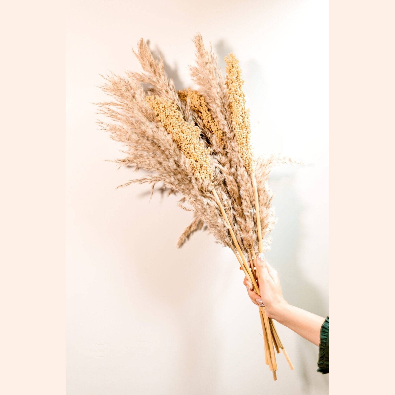 Pampas Corn bunch - https://artecasa.in/