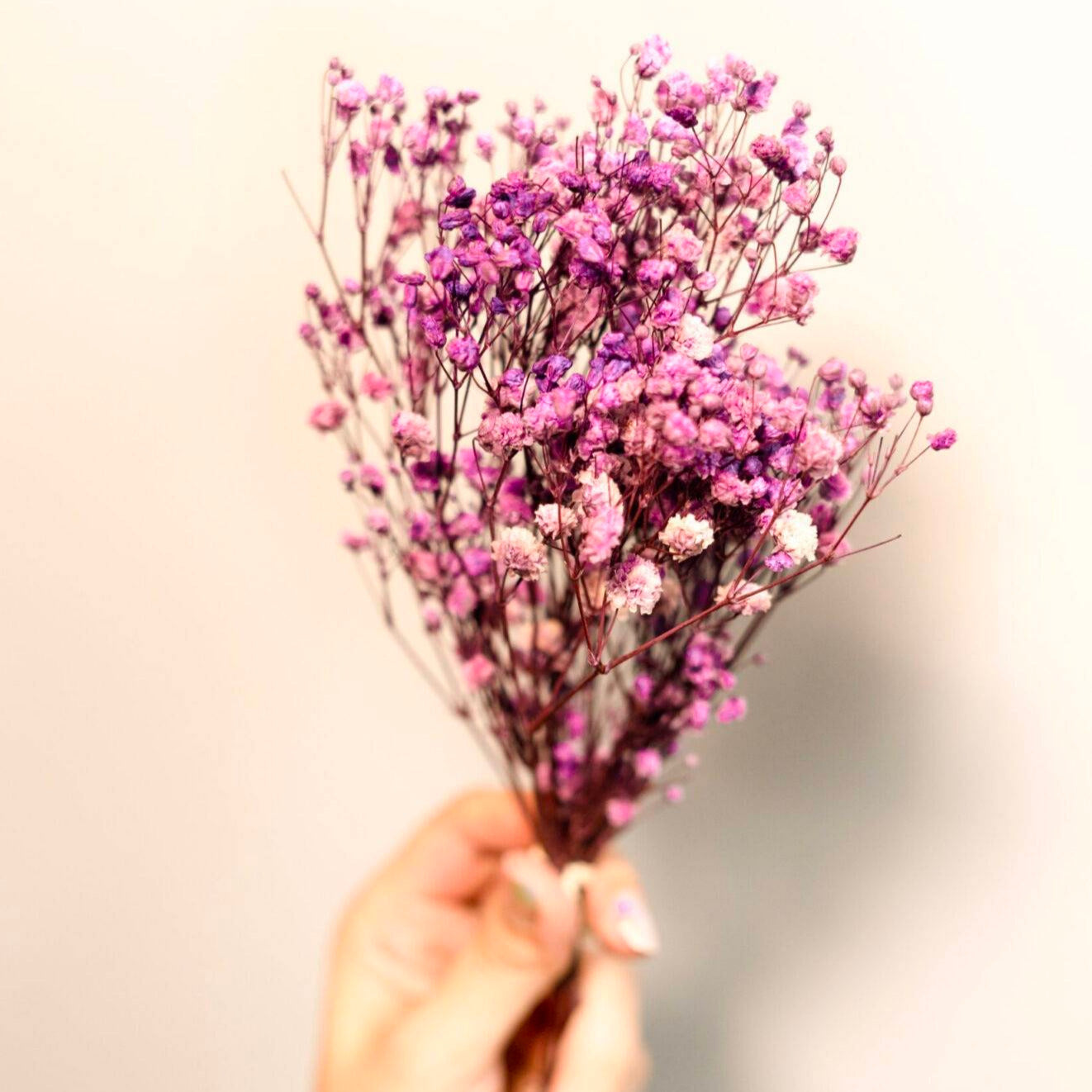 Purple Baby breaths - https://artecasa.in/