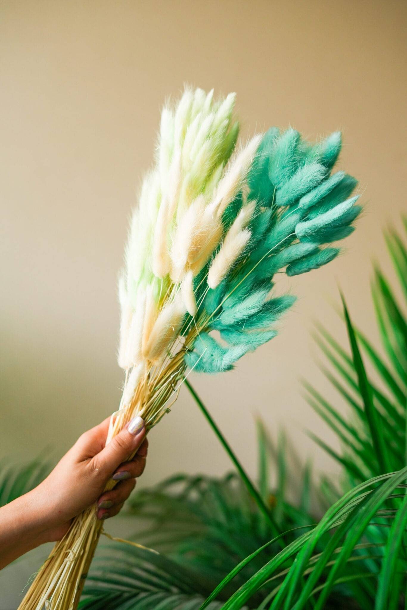 Mint Green Bunny tails-set of 50 stems - https://artecasa.in/