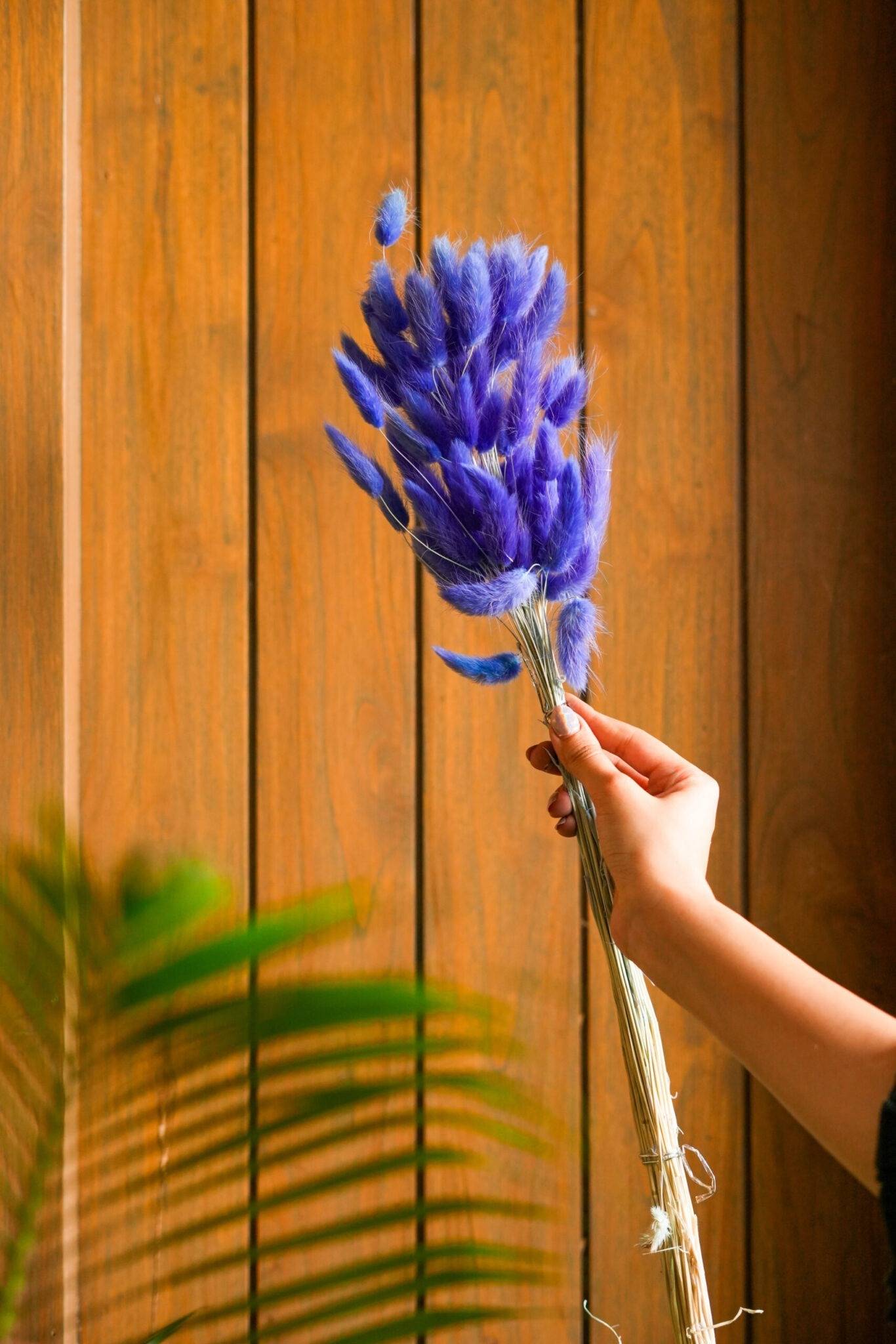 Royal Blue-Bunny tails-set of 50 stems - https://artecasa.in/