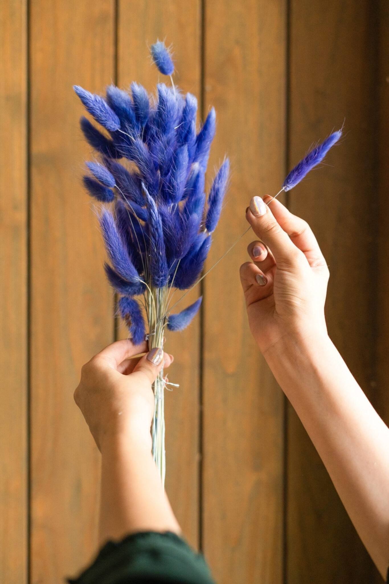 Royal Blue-Bunny tails-set of 50 stems - https://artecasa.in/