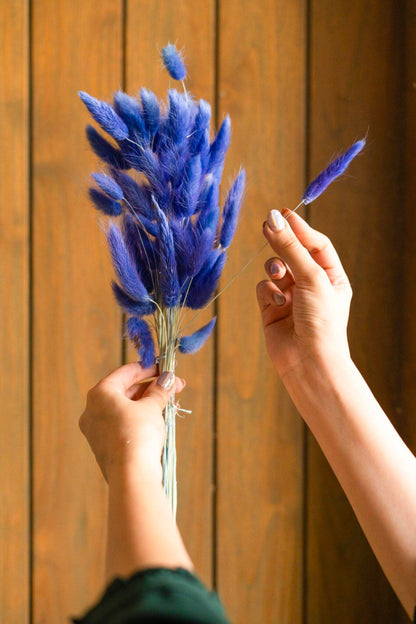 Royal Blue-Bunny tails-set of 50 stems - https://artecasa.in/