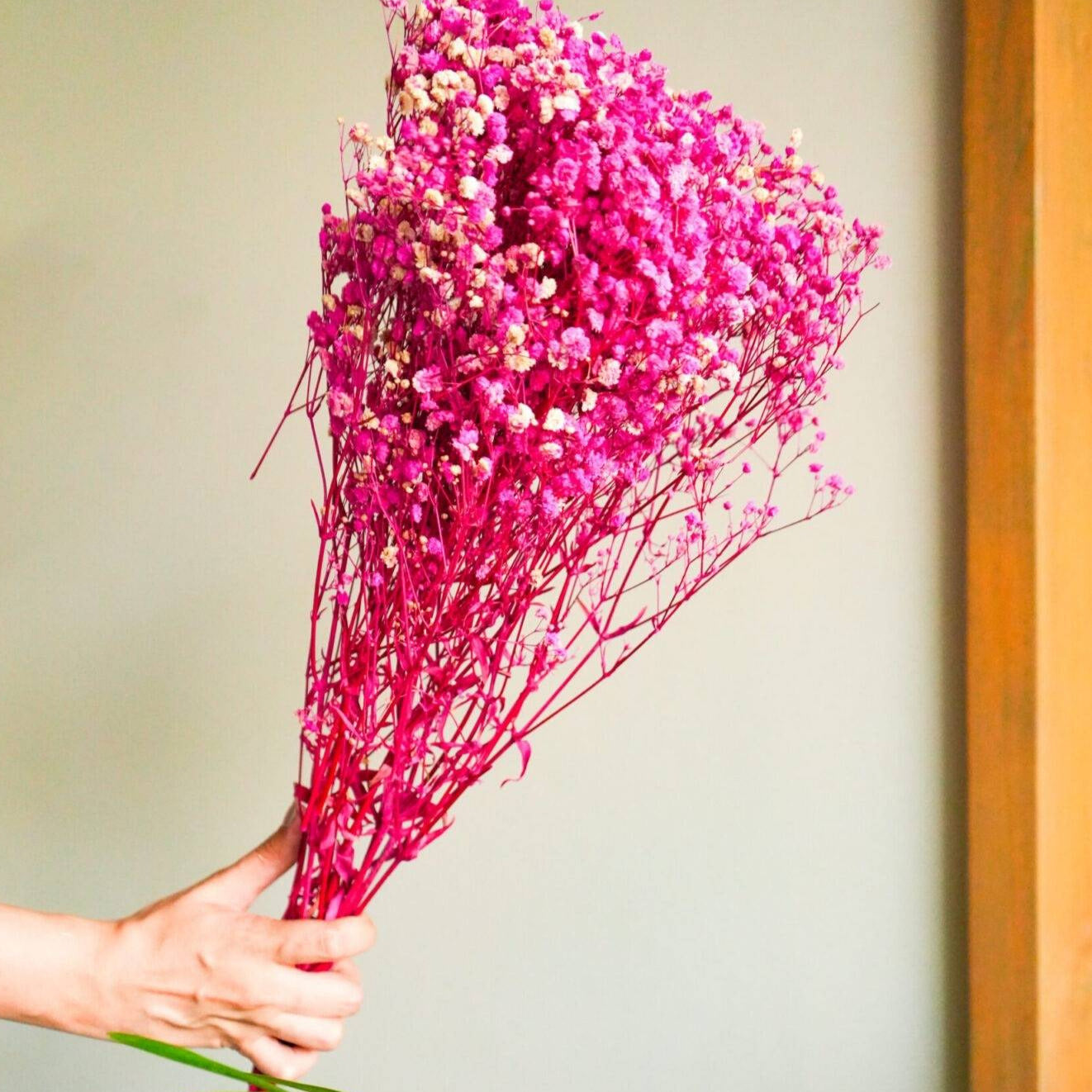 Pink Baby breaths - https://artecasa.in/