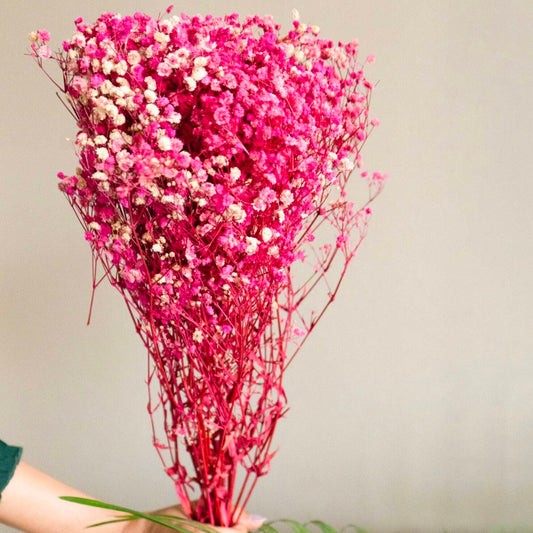 Pink Baby breaths - https://artecasa.in/
