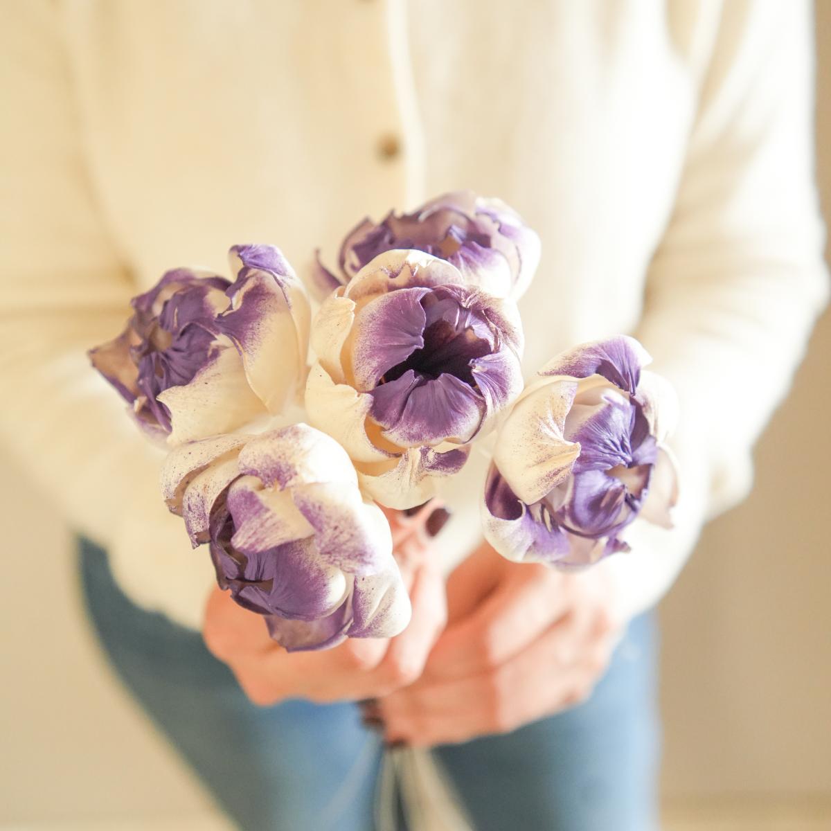 Dual shade sola peony-Purple and white