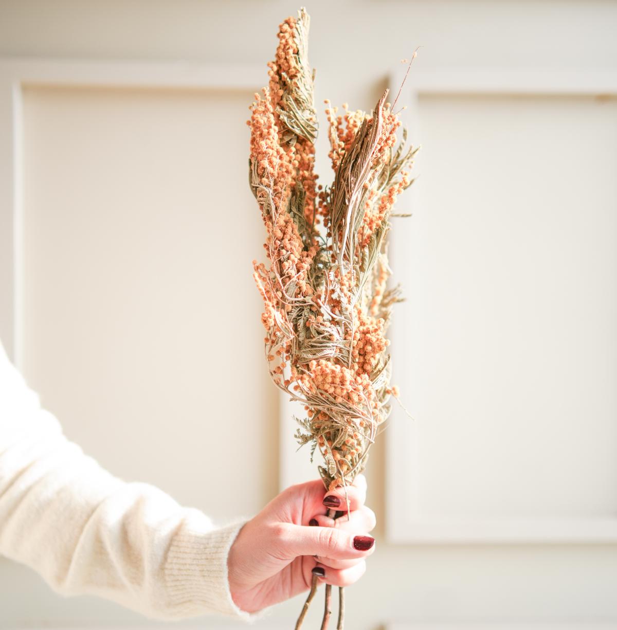 Dried mimosa